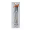 Atlas Brush Taklon 5pc Round Set